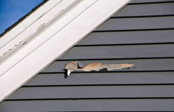 Affordable siding repair and maintenance services in Unionville, GA